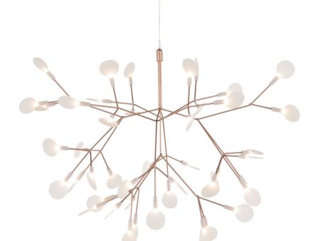 Heracleum III Small Suspended Online