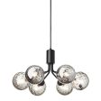 Apiales 6 Chandelier Online Hot Sale