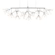 Heracleum III Linear For Sale