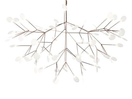 Heracleum III Large Suspended Online Sale