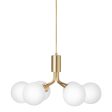 Apiales 6 Chandelier Online Hot Sale