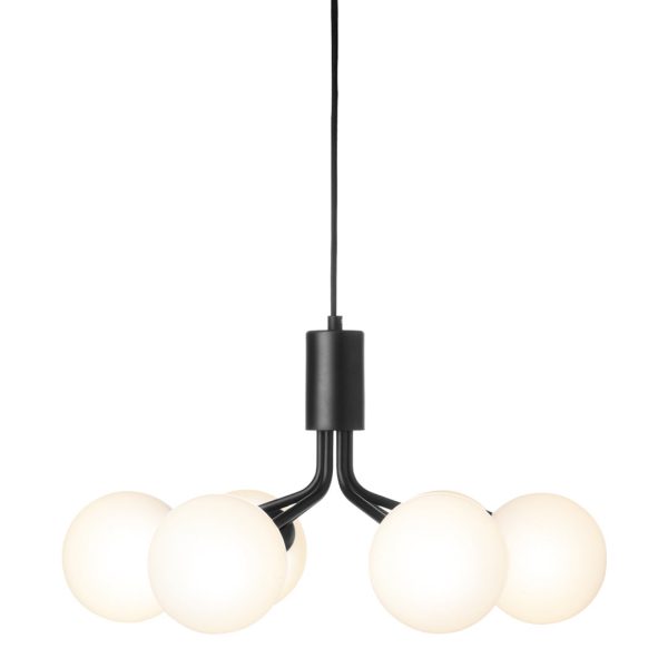 Apiales 6 Chandelier Online Hot Sale