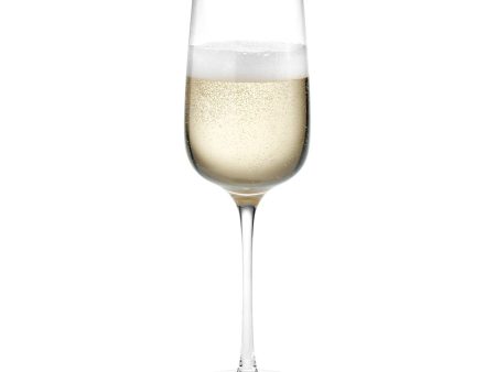 Bouquet Champagne Glass - Set of 6 For Sale