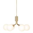 Apiales 6 Chandelier Online Hot Sale