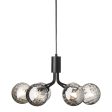 Apiales 6 Chandelier Online Hot Sale