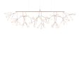 Heracleum III Linear For Sale