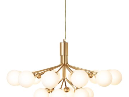 Apiales 18 Chandelier Online now