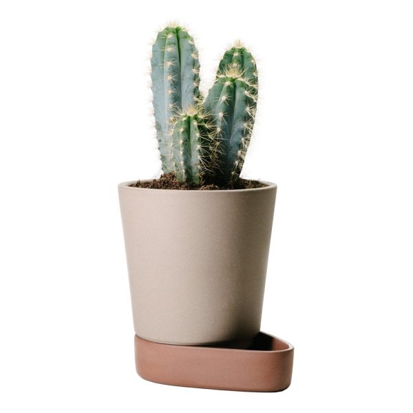 Sip Plant Pot For Sale