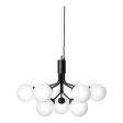 Apiales 9 Chandelier For Sale