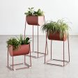 Modello Planter Set Cheap