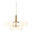 Apiales 9 Chandelier For Sale