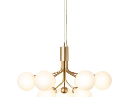 Apiales 9 Chandelier For Sale