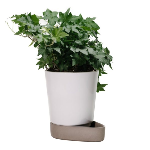 Sip Plant Pot For Sale