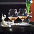 Cabernet Brandy Glass - Set of 6 on Sale