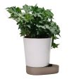 Sip Plant Pot For Sale